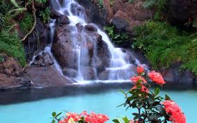 Waterfall Flowers Wallpaper Waterfall Wallpaper Waterfall Waterfall Pictures