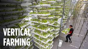 vertical farming in india