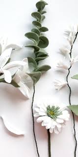 Get inspired with our handpicked collection of flower pictures hd to 4k quality available for commercial use download now for free! Green And White Flowers Wallpapers Top Free Green And White Flowers Backgrounds Wallpaperaccess