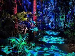 The Nightgarden Light Show Fairchild Tropical Botanic Garden Fairchild Tropical Botanic Garden Vacation Trips Botanical Gardens