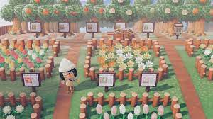 Kristine On Twitter Animal Crossing Flower Garden Design Flower Garden