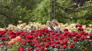 Check spelling or type a new query. Untuk Kamu Yang Romantis Berikut 10 Taman Bunga Mawar Terindah Di Dunia