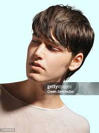 275 Avie Stock Photos, High-Res Pictures, and Images