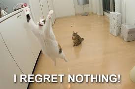 I Regret Nothing Cat Macros