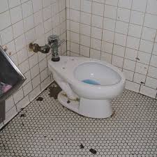 If you paid attention in history class, you might have a shot at a few of these answers. Toilets Of The World Quiz 1
