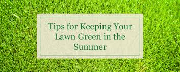 The type of grass you have also affects the amount of water needed. Tips For Keeping Your Lawn Green In The Summer Patuxent Nursery