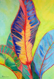 Croton Leaves Made With Karisma Color Pencils By Magda Van Der Linde Abstract Art Inspiration Colorful Abstract Art Art