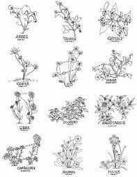 Aug 18, 2017 · august is the most popular birth month, accounting for nearly 9 percent of all birthdays in the world. Kikz Spotz Minimalist Tattoo Ideas Birth Month Flowers Facebook