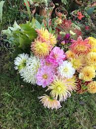 Check spelling or type a new query. Flowers On The Hill Flowers From The Farm
