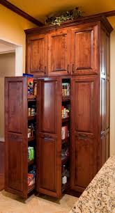 Pull Out Pantry Cupboards Kitchen Renovation Kitchen Remodel House Design