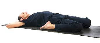 These include the iliopsoas, tensor fasciae latae, rectus femoris, pectineus. Sartorius Muscle Attachments And Actions As It Relates To Yoga
