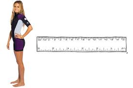 The Wetsuit Size Chart