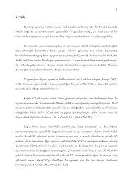 Http Docs Neu Edu Tr Library 6295805113 Spinnig 20son Pdf