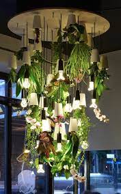 Grow Indoor Plants Upside Down With Sky Planters Plant Installation Indoor Plants Plants
