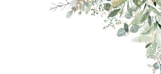 Isaac Stowe and Lisa Benedetto 's Wedding Website