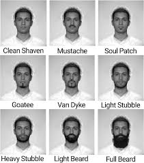 And removal techniques like shaving, plucking here is how to create an egg mask. Facial Hair Types Note Facial Hair Types Are Based On Oldmeadow And Download Scientific Diagram