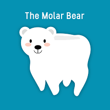 What Did The Dentist Find At The North Pole Dental Humor Dental Dentist