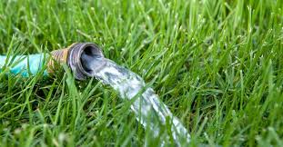 If you want the most accuracy, the best way to. How To Water Your Lawn Wisely