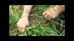 A Horny Old Couple: Italian Amateur Amateur Porn by CentoXcentovod