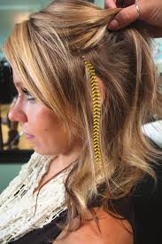 Speakers call for unity, exploration