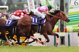 Nhk, which has always been known by this romanized initialism in japanese. Nhkãƒžã‚¤ãƒ«ã‚«ãƒƒãƒ— G1 2021 ç‰¹é›† Win ç«¶é¦¬