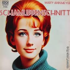 Schamlippenschnitt (feat. Mary-Ann Meyer) [Explicit] by Cbox