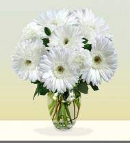 Te miejsca na pobyt są wysoko oceniane za lokalizację, czystość i nie tylko. Bowling Green Florist Bowling Green Ky Flower Delivery Avas Flowers Shop
