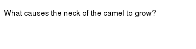 Give full answers to the questions. The Tone Fo The Poem The Plaint Of The Camel