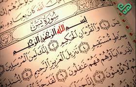 pin on فوائد