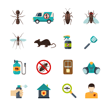 Petersburg, florida with all the same pest and exterminator services that tampa, florida receives. Florida Pest Control Services Provided By Binghams Professional Pest Management Findit