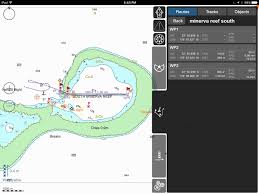 Domino 20 South Minerva Reef