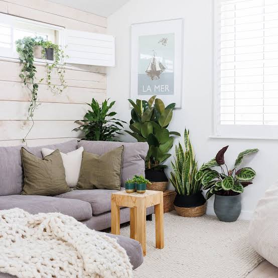 Houseplants instantly soften modern spaces, AI generated
