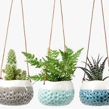 The best orchid pots reviewed. 17 Best Hanging Plant Pots And Wall Planters For Indoor Spaces