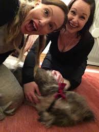 Coca cola & cokelore klären wir euch über die herkunft des namens hoaxilla auf. Alexa Marie On Twitter Jedes Jahr An Heiligabend Versuchen Wir Den Hund Mit Roter Weihnachtsschleife Zu Fotografieren Und Jedes Mal Gelingt Es Eher So Naja Trotzdem Ein Frohes Stressfreies Und Harmonisches Fest
