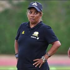 Image result for Baissea leontonori