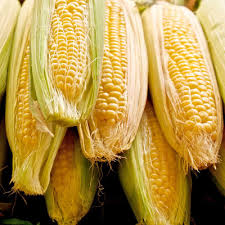 We want to know how you grow your favorite flowers, shrubs, vegetables and more! Growing Sweet Corn In Home Gardens Umn Extension