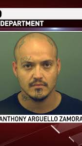 Burglary suspect arrested after threatening officer with tire iron, police  say