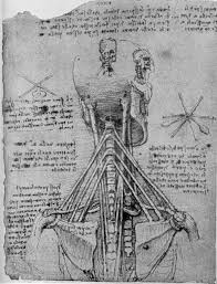 Leonardo Da Vinci The Man Who Wanted To Know Everything Leonardo Da Vincileonardo Leonardo Da Vinci Vinci Leonardo