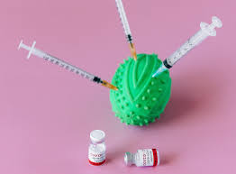 El 51% de aquellos que han recibido la vacuna completa tienen 65. La Vacuna Contra Covid En Mexico No Sera Obligatoria Habra Mas Vacunas Que Mexicanos Pero Siempre Sera Voluntaria Segun Amlo