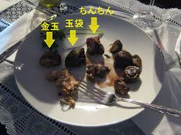 食べログには絶対載せられないグルメレポ！人間の男性器を「性器喫食会」で食べてきました。（保存用） : 芝浦ＰＡ gccx