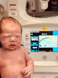 Elite Shed Hunting Retrievers (@eliteshedhuntingretrievers) • Instagram  photos and videos