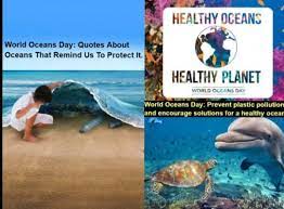 Shortlisted catchy one liner slogans on ocean pollution, world oceans day, oil spill, save coral reef and marine animals (whale, dolphins). Facebook