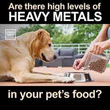 Images?q=tbn:ANd9GcS3SiQeoaVl RMzcNggqGr92I QFwd9q9SNA&s