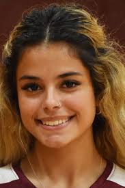 Scores: Diman boys soccer wins match, Somerset field hockey falls