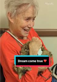 Cat Reunited After Two Months Missing in Fire Evacuation