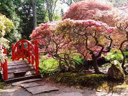 japanse tuin clingendael japanse tuin tuin japan
