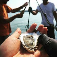 Pin On In A Half Shell
