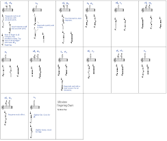 Altissimo Notes On Clarinet Related Keywords Suggestions