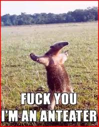 L 2308b46b9d7354eb3ed0f8a81ea81fb1 Jpg Picture By Deadlemons Photobucket Happy Animals Funny Animals Cute Baby Animals