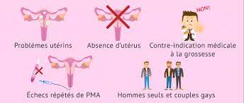 Société la gpa et pma les avancées de la science et des connaissances en matière de reproduction nous permettent, aujourd'hui, de faire intervenir la science directement durant la grossesse. Quels Sont Les Differents Types De Gestation Pour Autrui